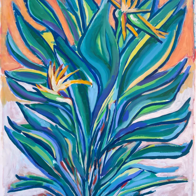 Strelitzia